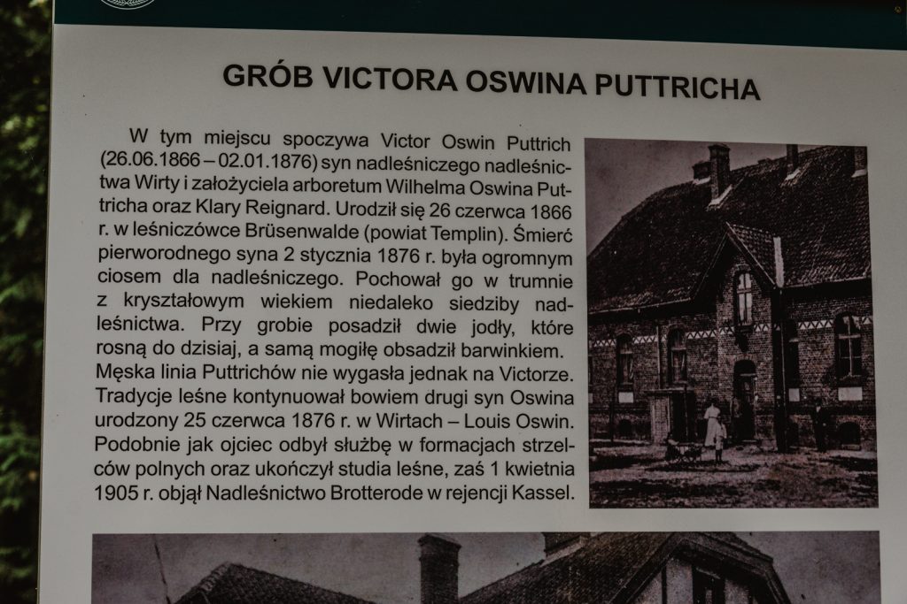 Oswin Puttrich i Wilhelm Oswald Puttrich